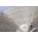 USED Spizzichino Cymbal 18" 1,468g 商品画像3：Custom Shop CANOPUS