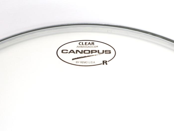 CANOPUS CLEAR REGULAR HEAD 8 商品画像1：Custom Shop CANOPUS