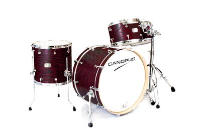 CANOPUS Ash Classic Kit Plus Smokey Violet Oil