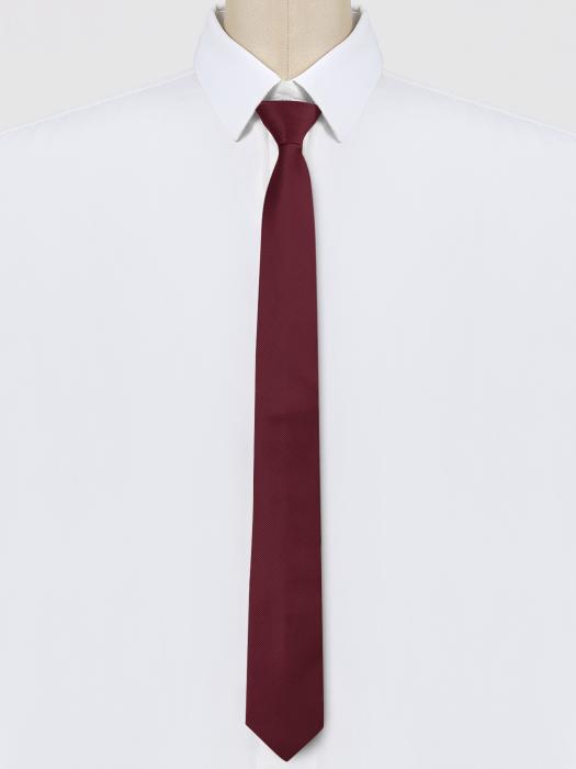 Allegra K メンズネクタイナローネクタイフラットストライプ調節可能なジッパーカジュアルビジネスネクタイ ワインレッド 6 cm 商品画像2：soten co