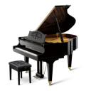 ディアパソン DIAPASON グランドピアノ DG-166F （DG166F) 新品新入荷品・標準付属品完備