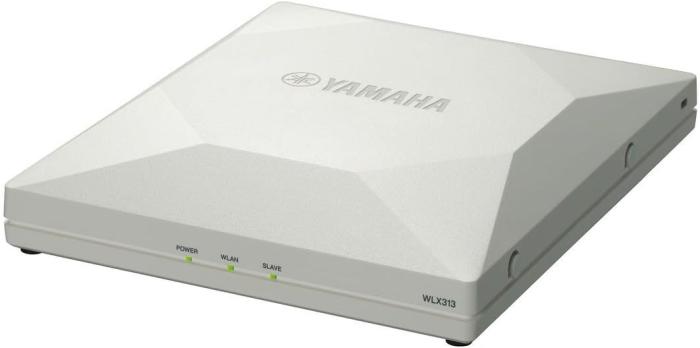 WLX313 商品画像2：サンバイカル