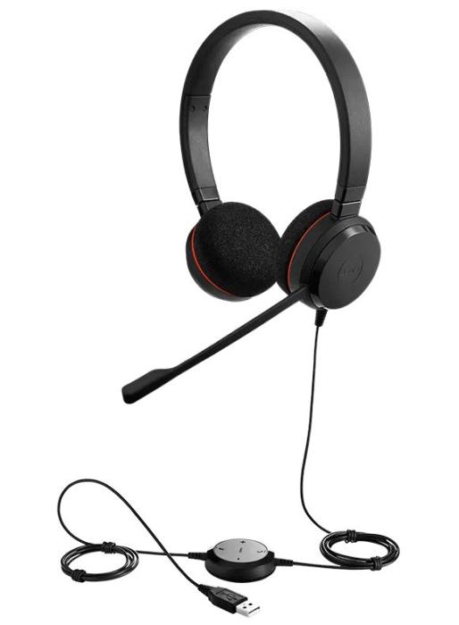 Evolve 20 MS Stereo 商品画像1：サンバイカル