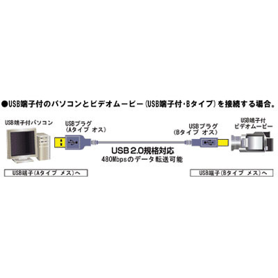 ビクター USBケーブル1.0m VX-U110