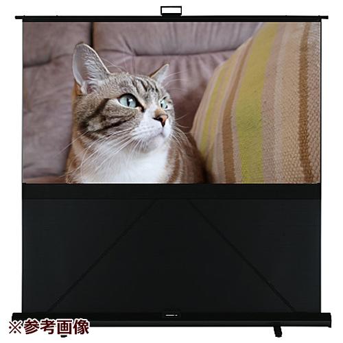 GFP-80AFW [80�C���` �O���������[�z���C�g]