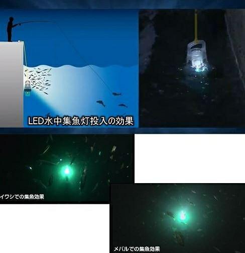 YF-510 LED水中集魚灯ミニ 商品画像2：e-fishing