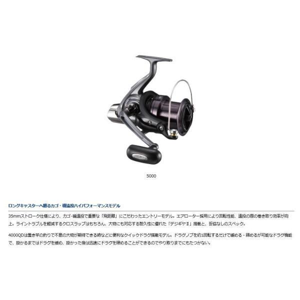 17クロスキャスト 4000 ダイワ 商品画像3：e-fishing