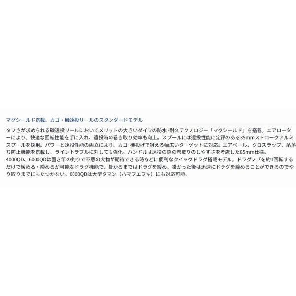 17WINDCAST 4000 ダイワ 商品画像3：e-fishing