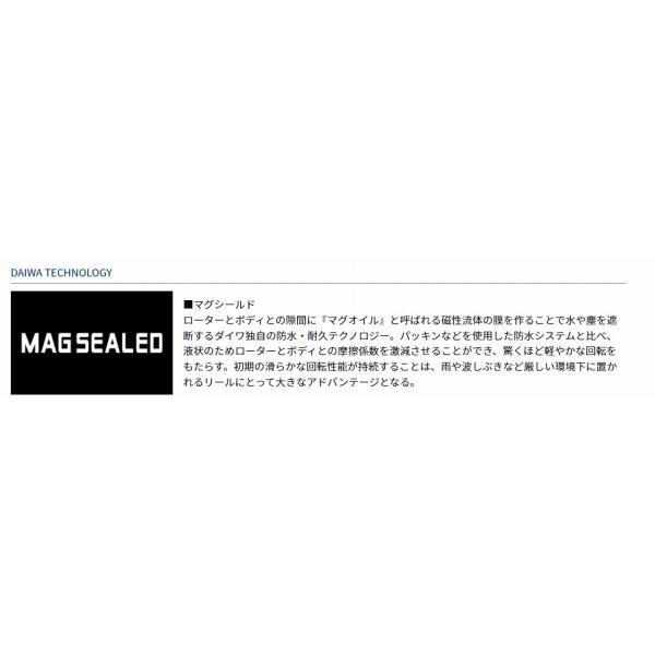 17WINDCAST 4000 ダイワ 商品画像4：e-fishing