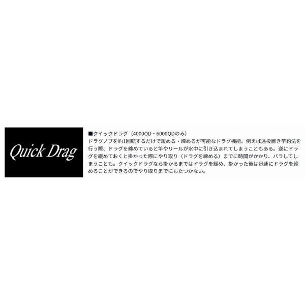 17WINDCAST 4000 ダイワ 商品画像6：e-fishing