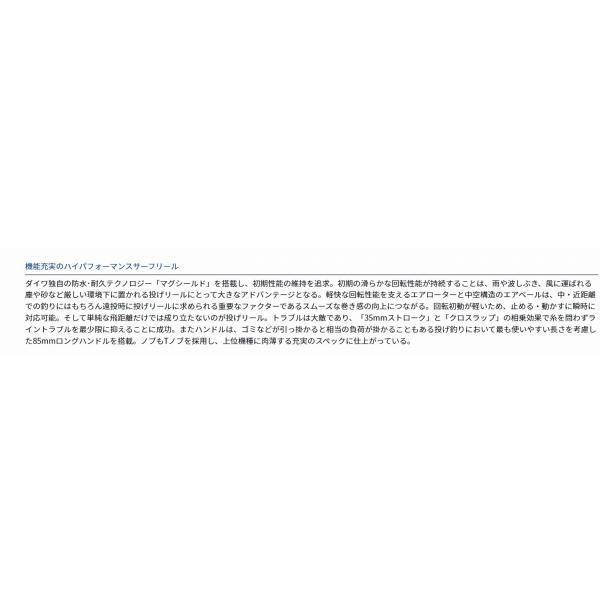 17WINDSURF35 細糸 ダイワ 商品画像3：e-fishing