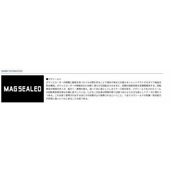 17WINDSURF35 細糸 ダイワ 商品画像4：e-fishing