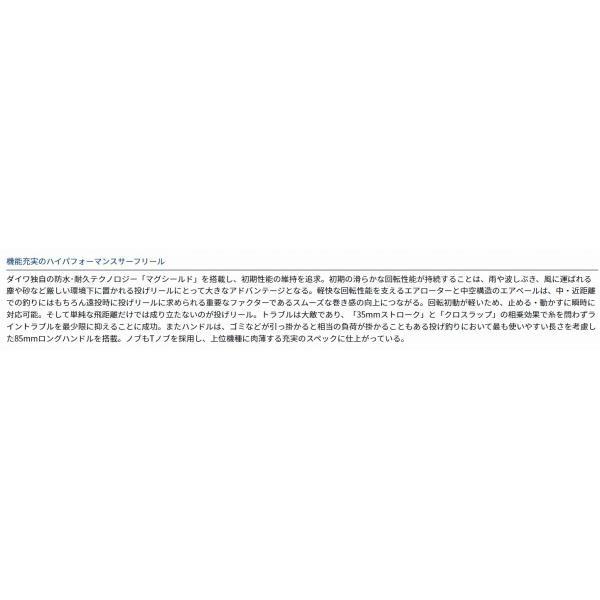 17WINDSURF35 太糸 ダイワ 商品画像3：e-fishing
