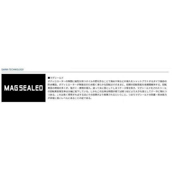 17WINDSURF35 太糸 ダイワ 商品画像4：e-fishing