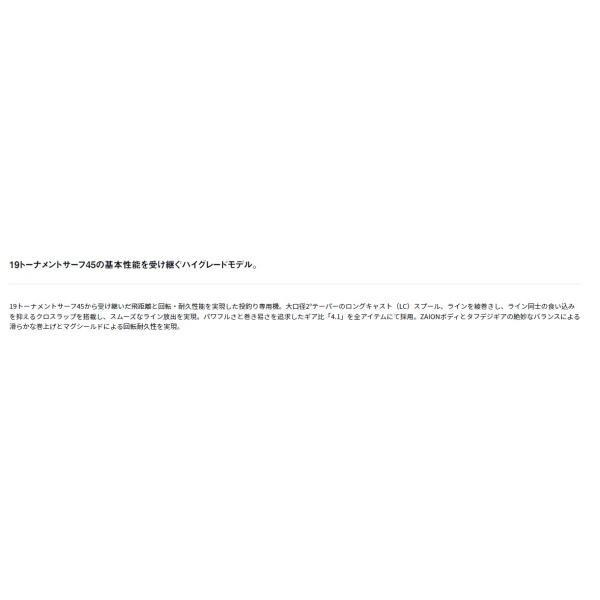 21サーフベーシア45 15PE ダイワ 秋の大感謝祭 商品画像5：e-fishing