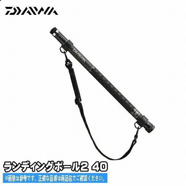 ＬＡＮＤＩＮＧ　ＰＯＬＥ（2）　40 商品画像1：e-fishing