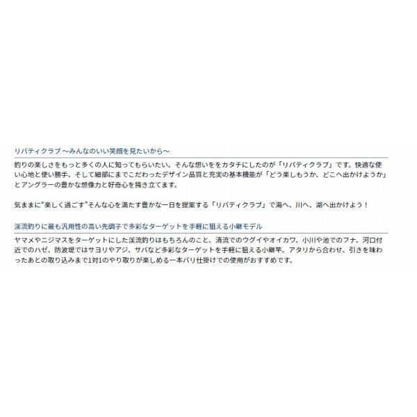 LBT C 万能小継 硬調53 Q ダイワ 秋の大感謝祭 商品画像4：e-fishing