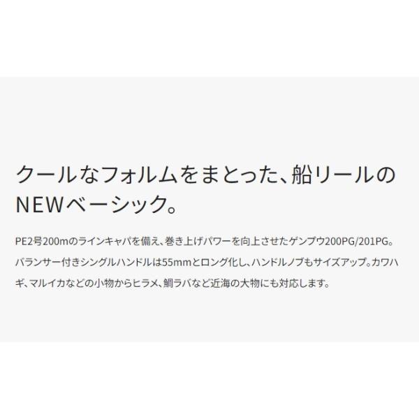 20ゲンプウ 200PG 右ハンドル シマノ 商品画像8：e-fishing