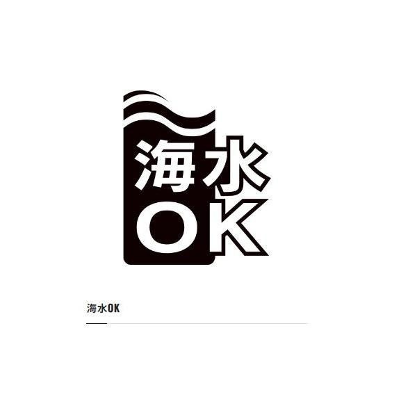 22 サハラ 4000XG シマノ 秋の大感謝祭 商品画像8：e-fishing