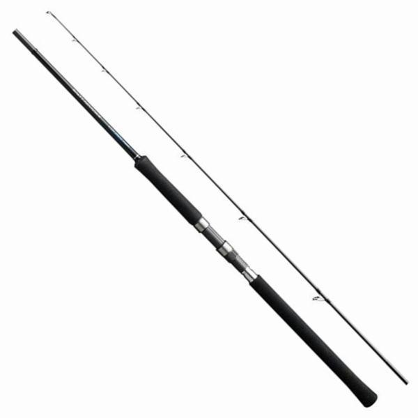 19ソルティADショアJ100MH シマノ 商品画像2：e-fishing