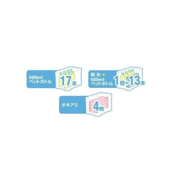 ＨＯＬＩＤＡＹ－ＣＯＯＬ 200ＬＺ－320Ｑ 白 商品画像4：e-fishing