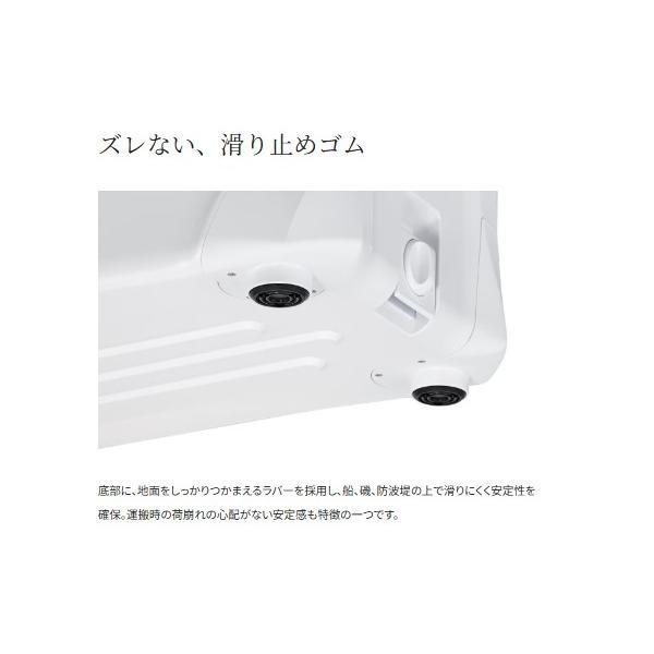 スペーザホエールライト 650 ピュアホワイト NS-465T 商品画像9：e-fishing