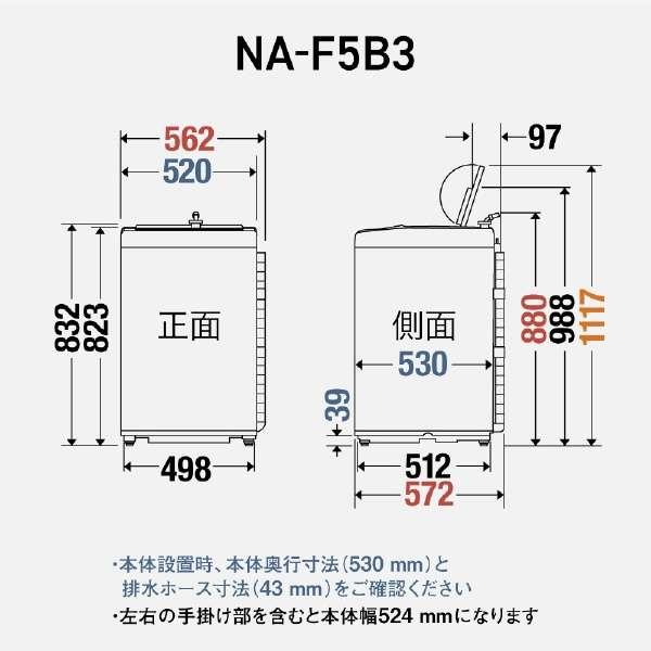 全自動洗濯機 Fシリーズ [洗濯5.0kg /上開き] ライトグレー　NA-F5B3-H 商品画像4：ブイソニック＋