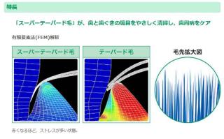 ライオン DENT.EX systema ビブラートケア 歯科専売品 通常配送商品の